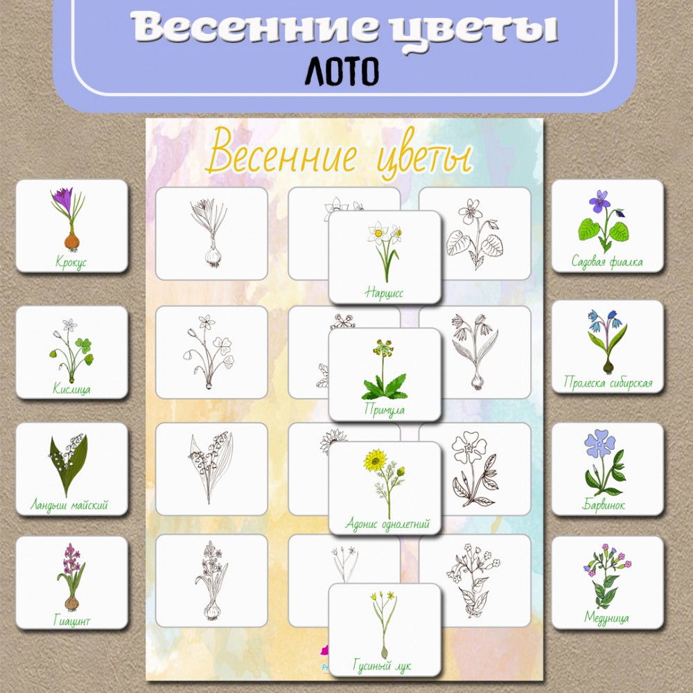 игры на тему весенние цветы (98) фото