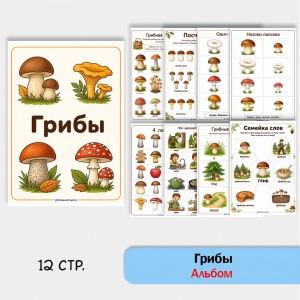 Грибы - альбом по лексической теме Грибы - альбом по лексической теме