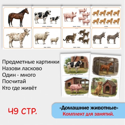 «Комплект Домашние животные» для фронтальных занятий в детском саду.