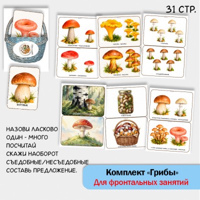 «Комплект Грибы» для фронтальных занятий в детском саду.