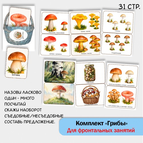 «Комплект Грибы» для фронтальных занятий в детском саду.