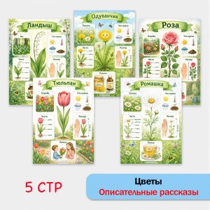 Описательные рассказы о цветах по наглядному плану.