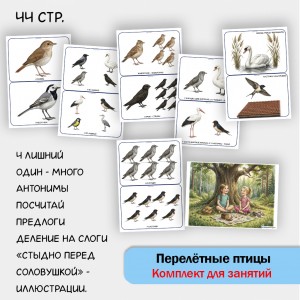 «Комплект Перелётные птицы» для фронтальных занятий в детском саду.