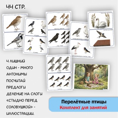 «Комплект Перелётные птицы» для фронтальных занятий в детском саду. «Комплект Перелётные птицы» для фронтальных занятий в детском саду.