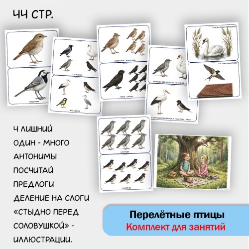 «Комплект Перелётные птицы» для фронтальных занятий в детском саду.