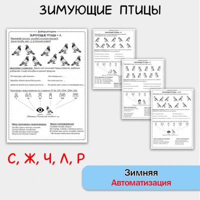 Зимующие птицы + автоматизация звуков С Ж Ч Л Р - Чб рабочие листы. Зимующие птицы + автоматизация звуков С Ж Ч Л Р - Чб рабочие листы.