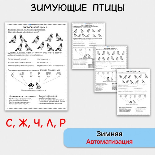 Зимующие птицы + автоматизация звуков С Ж Ч Л Р - Чб рабочие листы. Зимующие птицы + автоматизация звуков С Ж Ч Л Р - Чб рабочие листы.